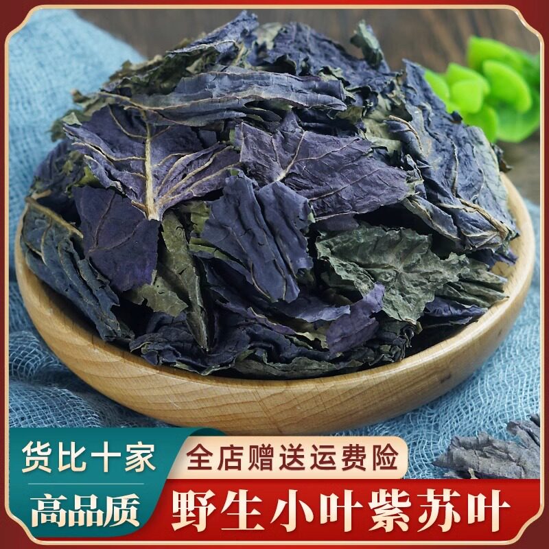 紫苏叶中药材 新鲜食用苏子叶烤肉去腥紫苏泡水泡澡泡脚干货野生