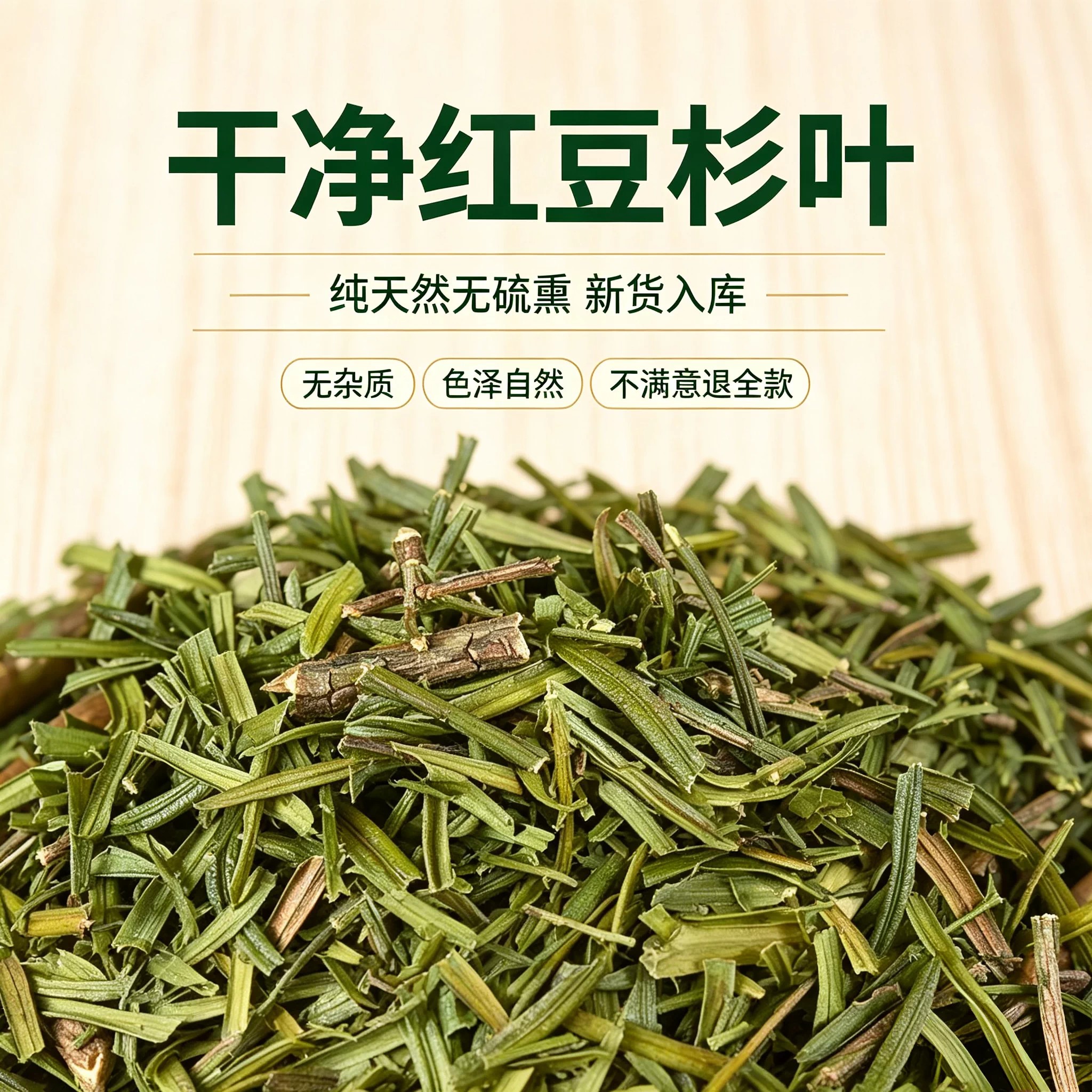 红豆杉叶新鲜红豆杉树带枝干货红豆杉树叶枝现摘现发南方红豆杉叶