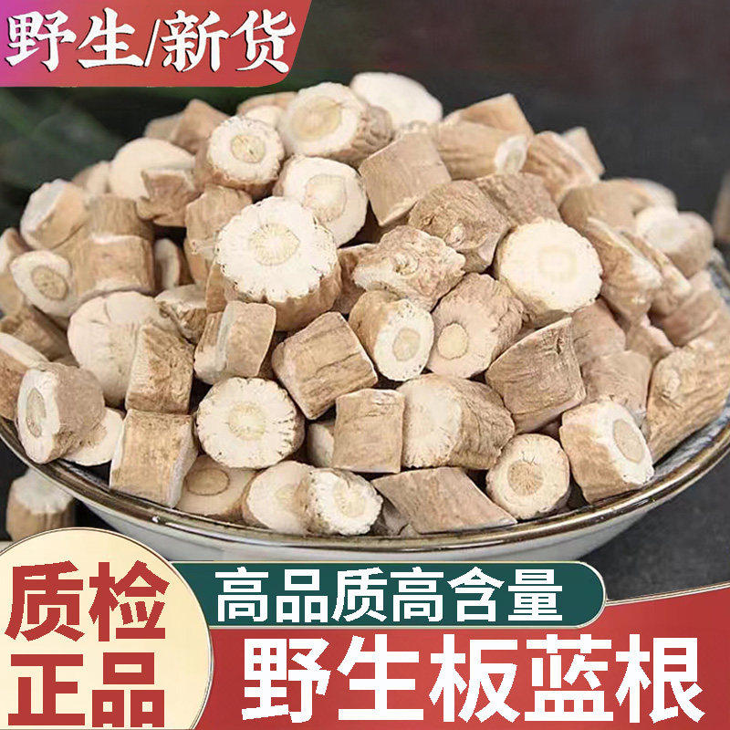 正品野生板蓝根新货中药材500g正宗板蓝根段板蓝根粉枕芯大青叶根