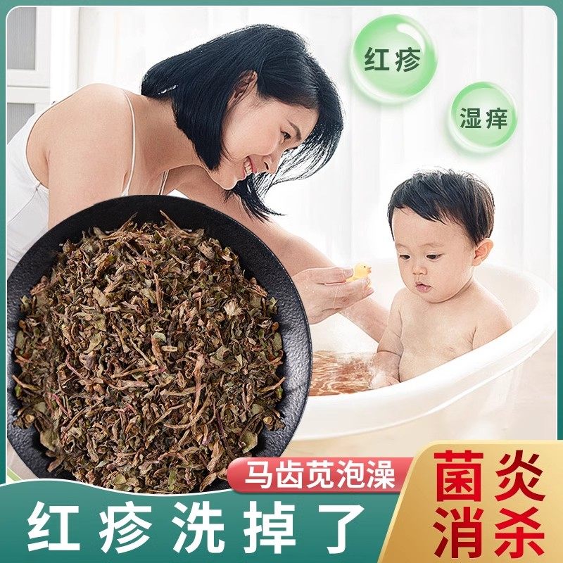 马齿苋的功效与作用中药材官方旗舰店新鲜马齿笕太阳花婴儿泡澡脚