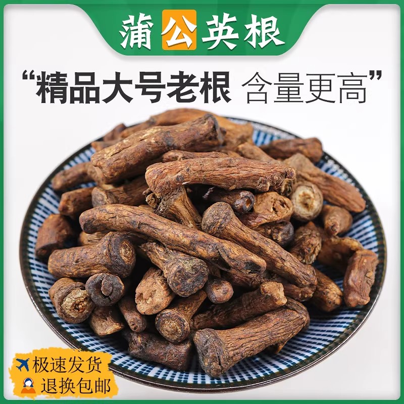中药材蒲公英根正品500g蒲公英根干货蒲公英根茶非特级野生