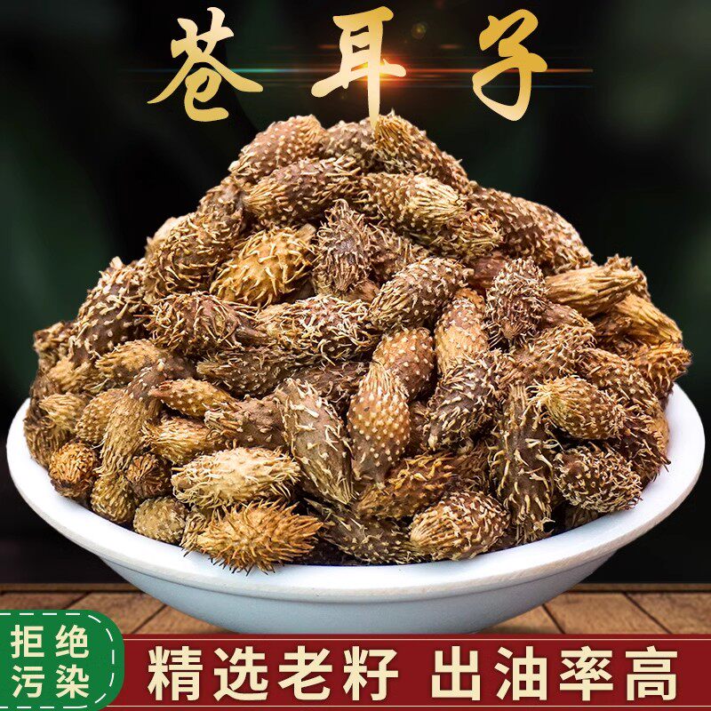 精选苍耳子中药材正品500g苍耳子茶仓耳子粉另售鹅不食草辛夷花