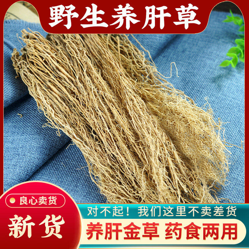 养肝草中药材500g野生新货广东丝线根龙须草粤北煲汤天然养肝草汤