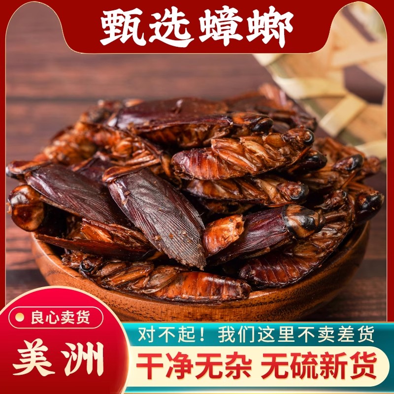 蟑螂中药材500g正品美洲大蠊蟑螂虫干小强偷油婆茶婆虫飞