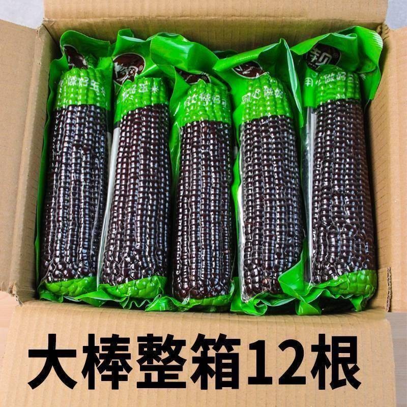 黑糯玉米新鲜现摘真空装包甜糯黏