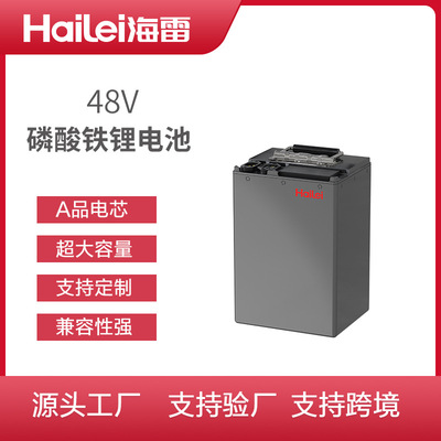 60V电动车磷酸铁锂锂电池两轮车三轮车共享换电大容量单体锂电池