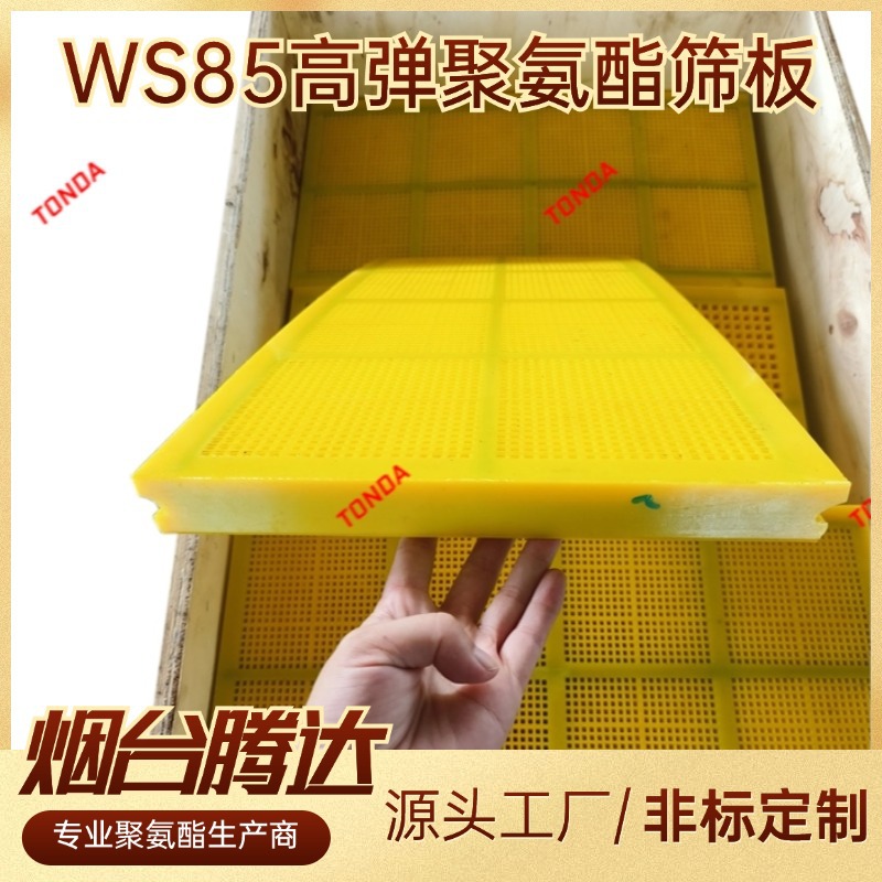 聚氨酯筛板MDI矿用振动筛筛板高耐磨柔性WS85高弹性筛板