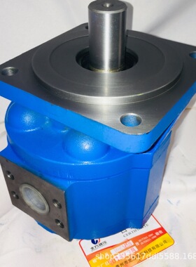 厂家供应 CBG2080-BIL齿轮泵    取芯钻机液压泵