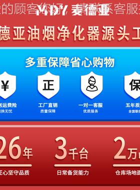 油店厂烟净化效率9%9 饭厨房油烟YPJ净化器 商用除烟环保净化设备