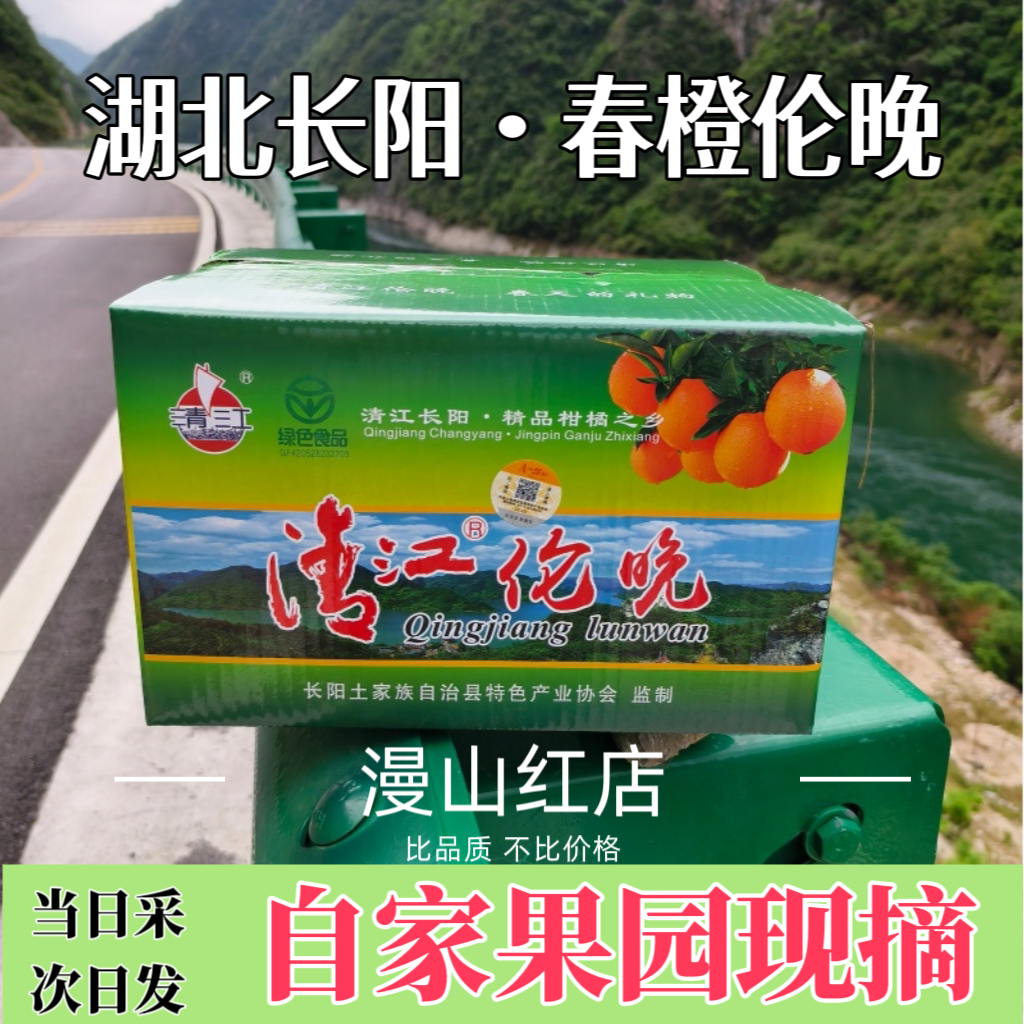 宜昌橙子长阳清江伦晚脐橙子大果送礼当季水果整箱新鲜柑橘榨汁