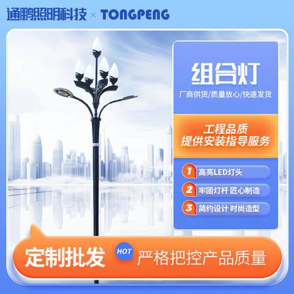 道路景观照明玉兰灯LED组合路灯小区广场高亮度市政中华路灯