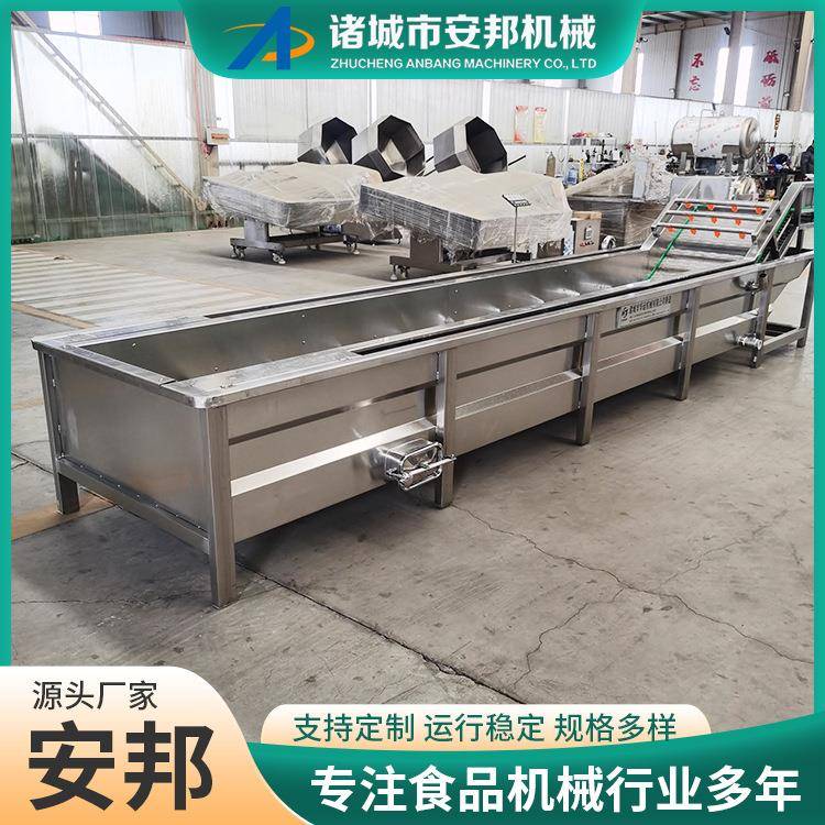 新一代桑叶清洗机蒲公英清洗机香菜清洗设备