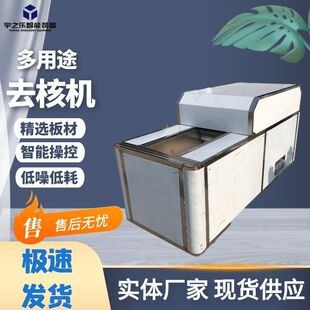 苹果去核切圈机器 全自动李子龙眼去核机 全自动樱桃去核机器