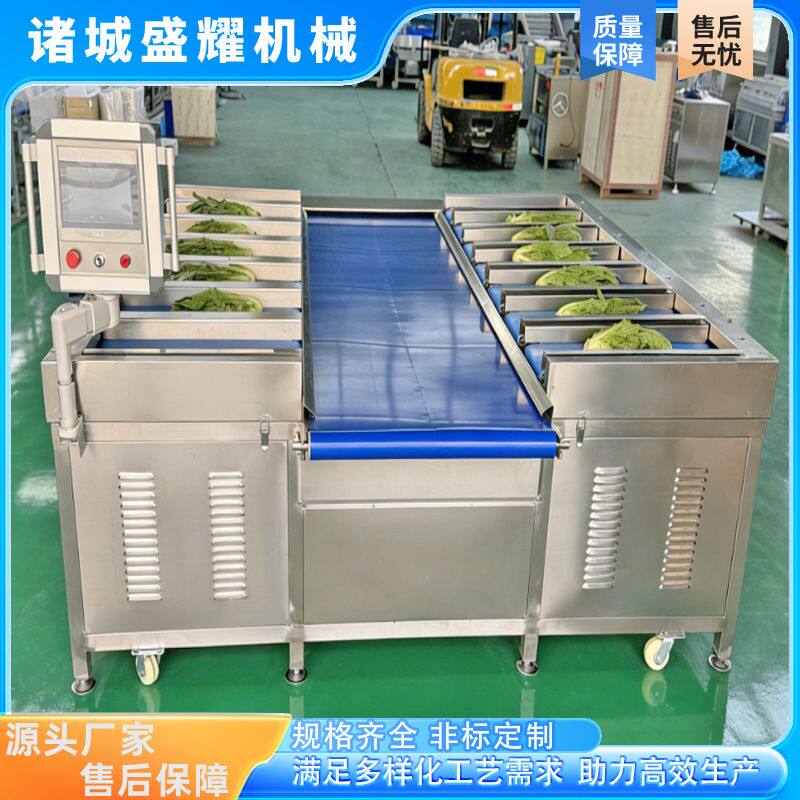 14工位生姜重量组合称 山药目标重量配重称 大葱配重组合称盛耀