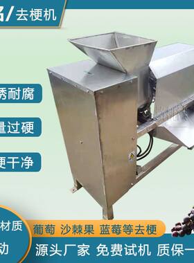 商用葡萄去梗破碎机 工业葡萄除梗打碎机 葡萄去梗机