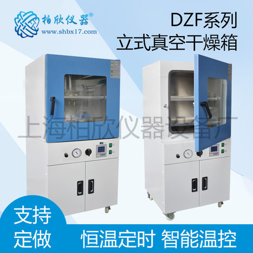 DZF-6210F立式500度真空干燥箱