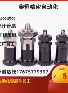 ZAY11 12 13 14-M10 M12 M16 M20分度销嵌入式精密型 球面自锁型