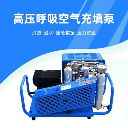 【潜水消防救援】100L高压空气充填泵 2.2kw高压空气压缩机空压机