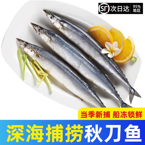 秋刀鱼新鲜冷冻深海鱼