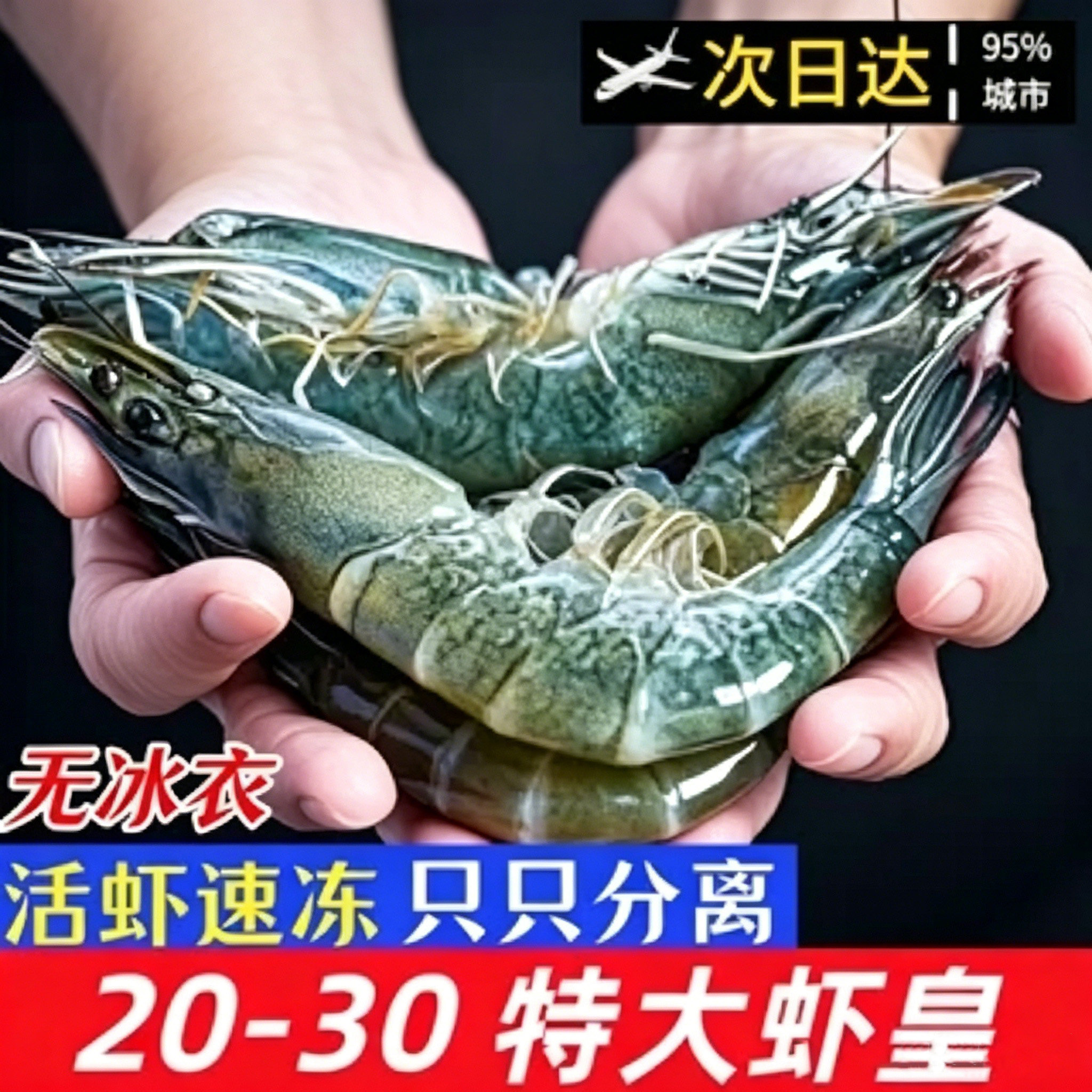 海捕大虾活虾速冻只只分离3斤