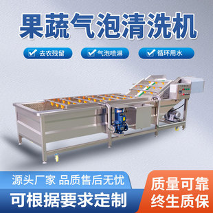 全自动气泡清洗机 柑橘柚子气泡清洗机 苹果干成套清洗加工设备