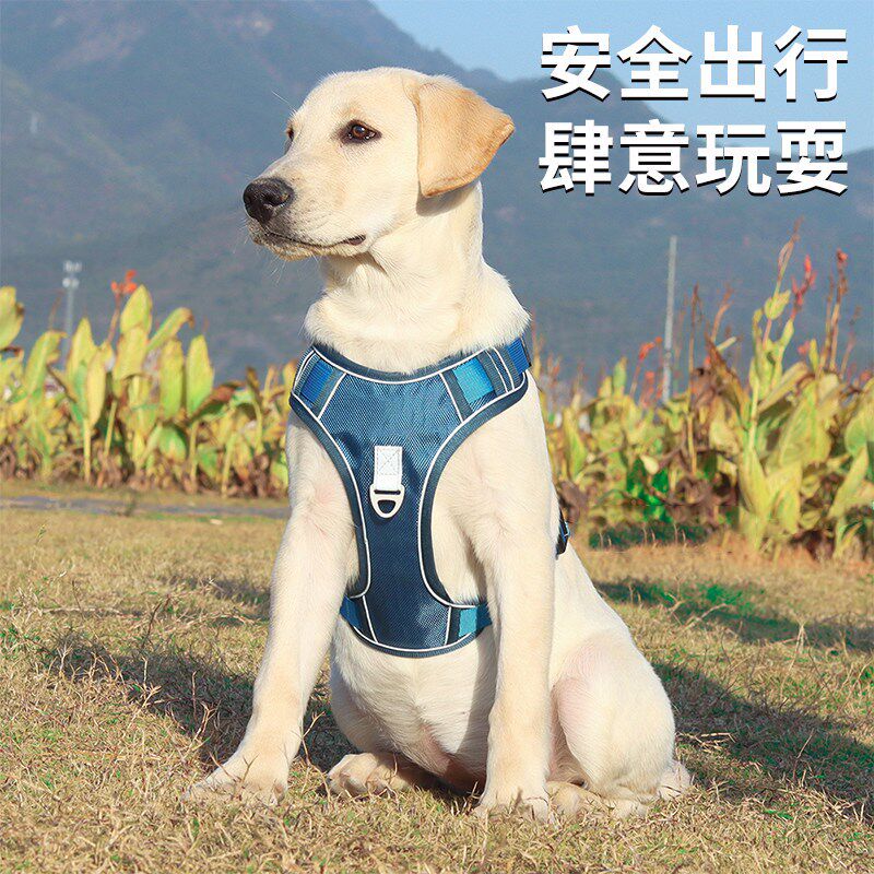 牵引绳胸背带一体化设计外出遛狗自动伸缩牵引绳狗链子宠物用品