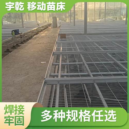 温室大棚育苗床架 热镀锌铁丝网片 多肉植物育苗设备 农业用移动