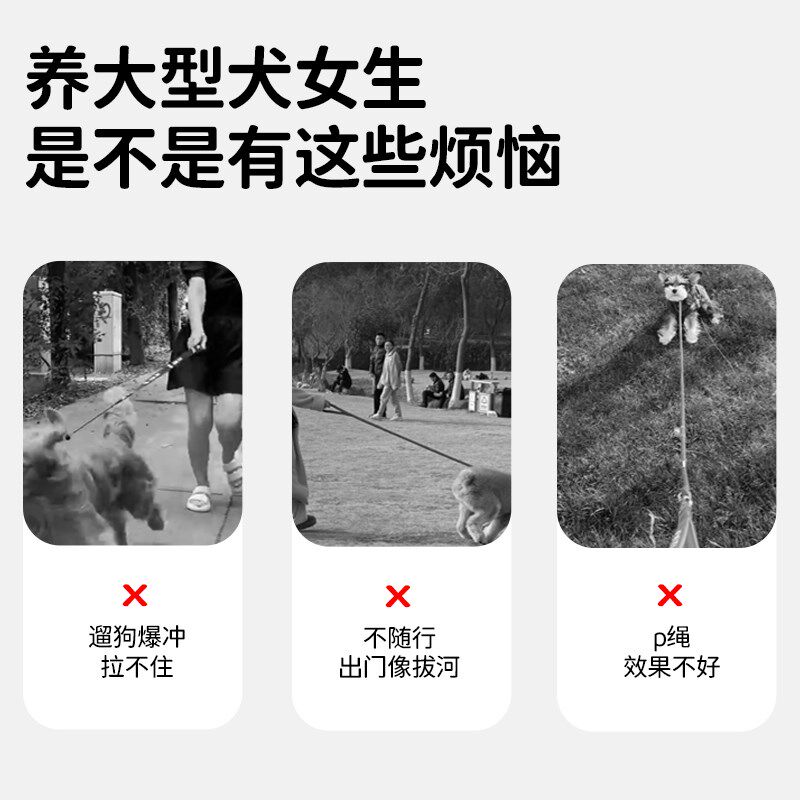 刺钉项圈防爆冲训犬大型犬金毛拉布拉多马犬专用牵引绳宠物脖圈颈