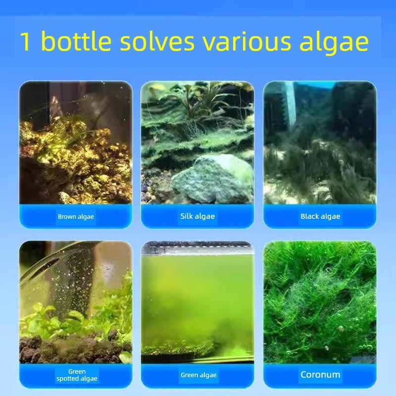 鱼缸除藻,水净化,一滴清苔,褐藻,碎藻,黑毛藻克星,不换水的鱼缸专