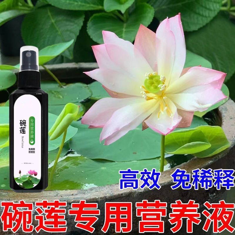 碗莲营养液专用水溶肥水土培荷花睡莲通用肥料治生长慢不开花发芽