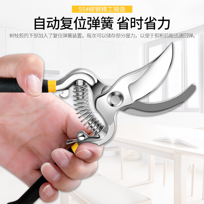 省力园艺花剪花艺修剪树枝园林粗枝果树剪刀修枝剪枝大力剪子工具