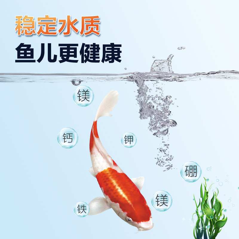 硝化菌养鱼用净水剂活菌锦鲤鱼池净化水质稳定剂鱼缸用消化细菌液