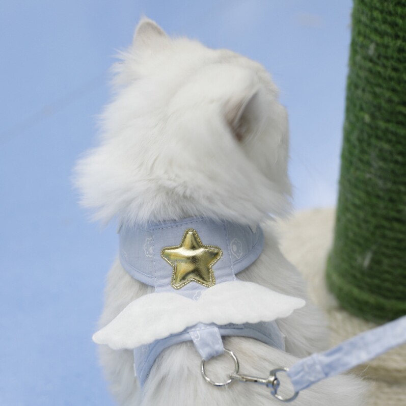 天使翅膀猫咪牵引绳背心式牵引带狗狗幼猫外出牵引防挣脱宠物用