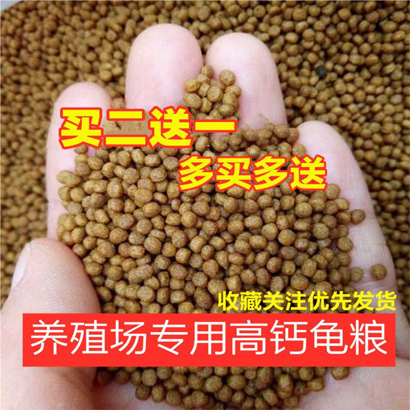 高钙龟粮高蛋白石金钱饲料上浮颗粒虾皮火焰蛋龟鳄龟草龟通用