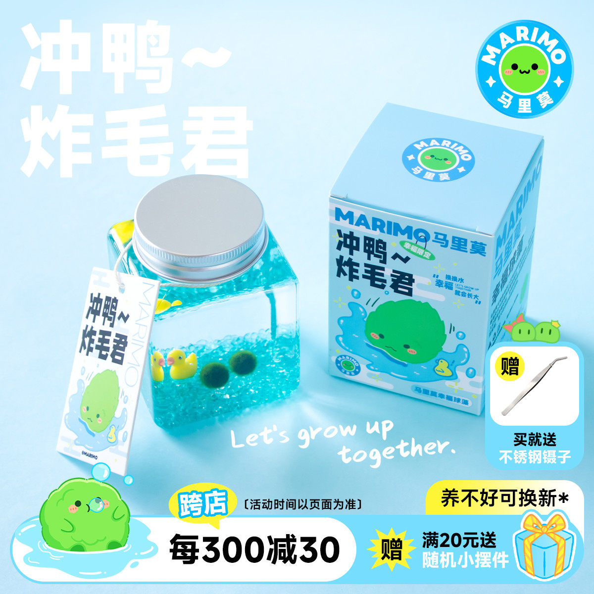 Marimo马里莫 冲鸭炸毛君 幸福球藻好养植物水培生态瓶微景观礼物