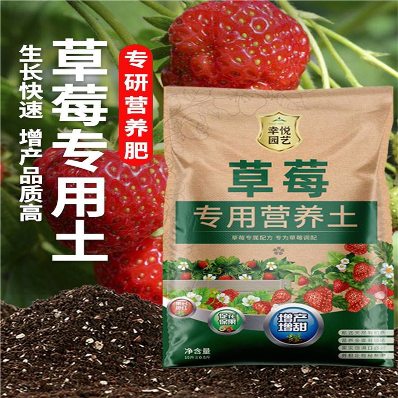 种草莓专用土营养土阳台草莓肥料专用肥盆栽草莓苗土壤泥土种植土
