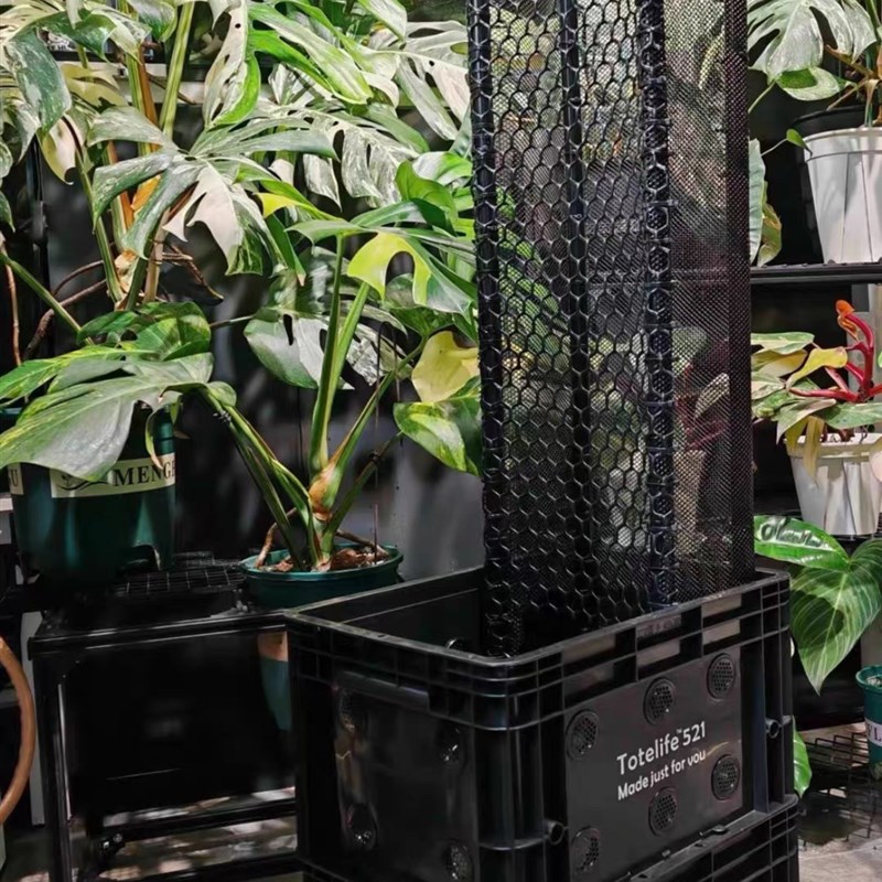 全新龟背竹种植箱,工业风周转箱花盆,周转箱种植箱定制图片