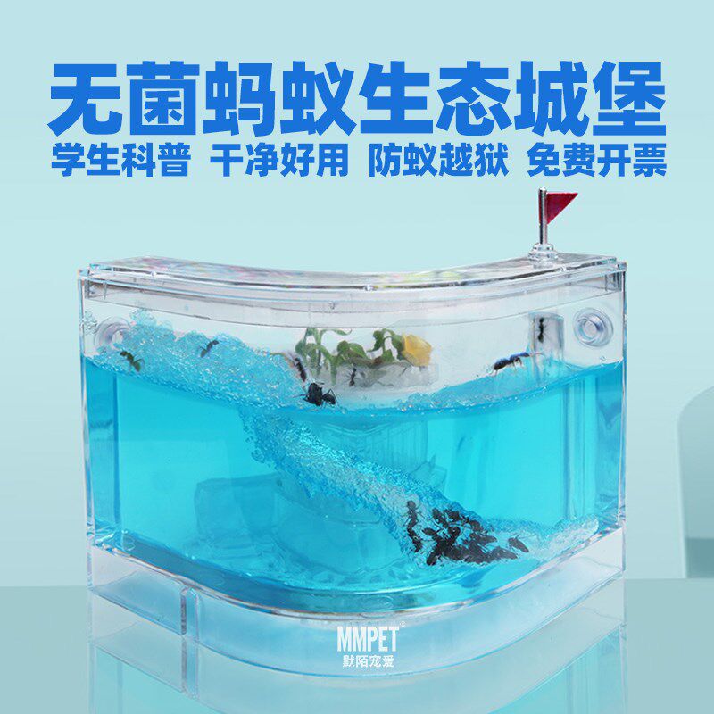无菌蚂蚁工坊城堡学生套餐超大盒子生态箱宠物蚂蚁活体弓背蚁后