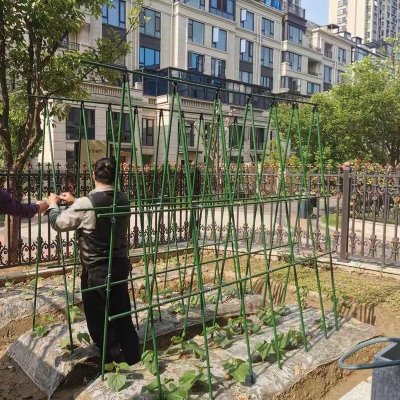 黄瓜爬藤架豆角蔬菜架杆植物固定支撑杆架子包塑钢管种菜专用架子