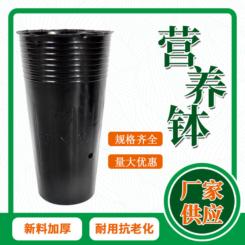 加厚一次性营养钵花卉育苗杯花盆农用大号育苗袋塑料黑色多肉花盆
