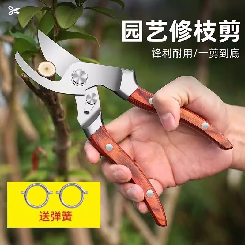 全钢红木柄家用修枝剪园艺省力花艺园林果树修剪树枝修花大剪刀