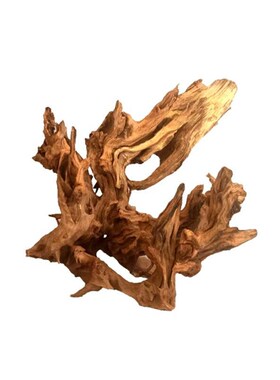 天然枯木根雕摆件文玩手串笔挂鱼缸造景沉木珊瑚木家居玄关摆件