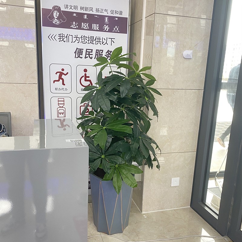 仿真绿植发财树客厅室内大型落地装饰假花假树盆栽摆件仿生大植物
