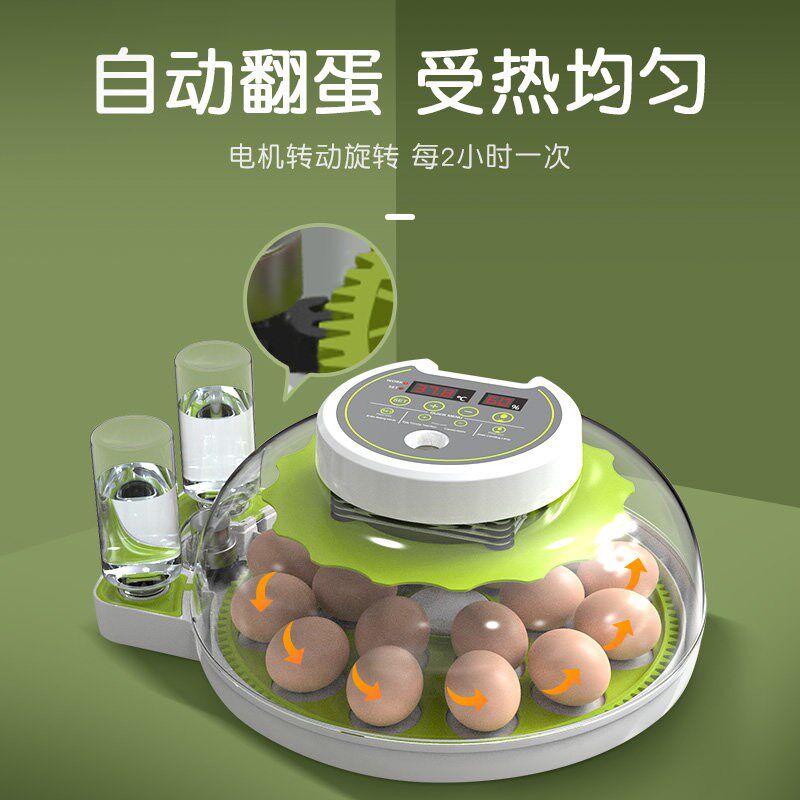 鹦鹉鸟蛋芦丁鸡小鸡小飞碟孵蛋器电热工具