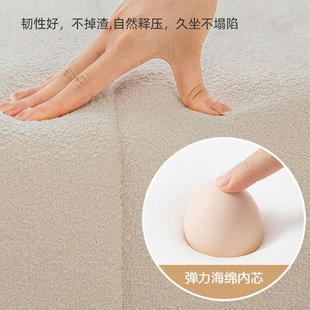 轻奢四季 家用阳台垫可拆子洗榻榻米海垫绵新款 绒绗缝奶油泰迪可拆