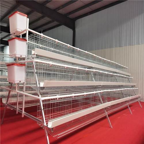 厂家养殖蛋鸡笼阶梯式全自动设备输送带鸡笼养殖孵化自动化
