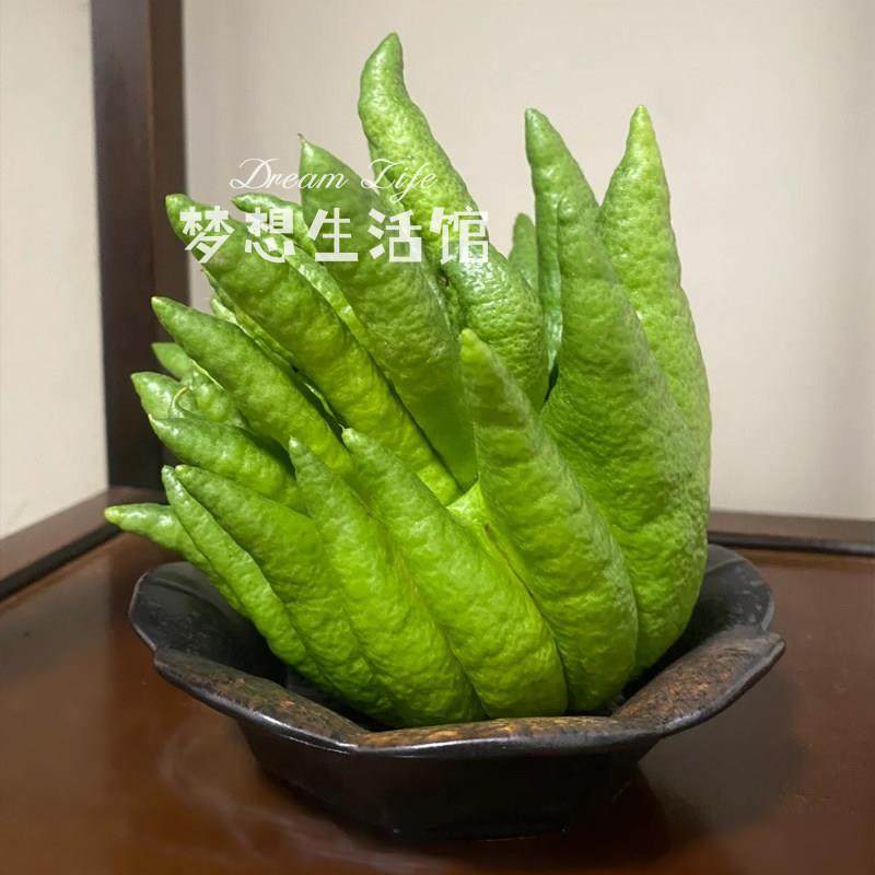 佛手柑托 托盘器皿中式覆古做旧禅意风养佛手专用摆放盘花器花盆,家居饰品,花瓶,淘宝优惠券,粉丝福利购,淘宝优惠卷