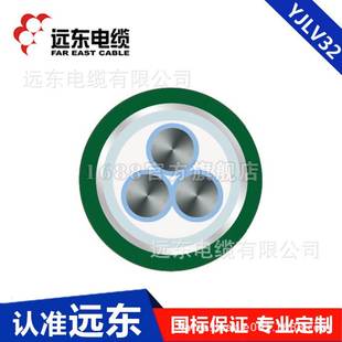 8.7 细圆钢丝铠装 10kV 中压电缆 远东电线电缆厂家YJLV32