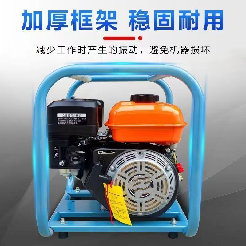 汽油插入式框架振动机混