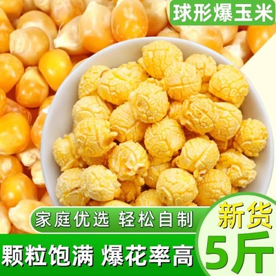 爆米花专用球形玉米粒5斤电影院